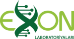 exonos e1734384255120